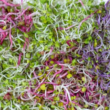 Amazing Health Benefits of Sprouts